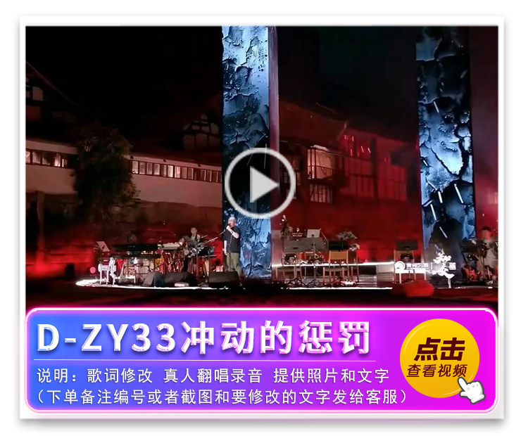 D-ZY33冲动的惩罚